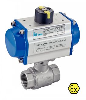ATEX Ball Valve